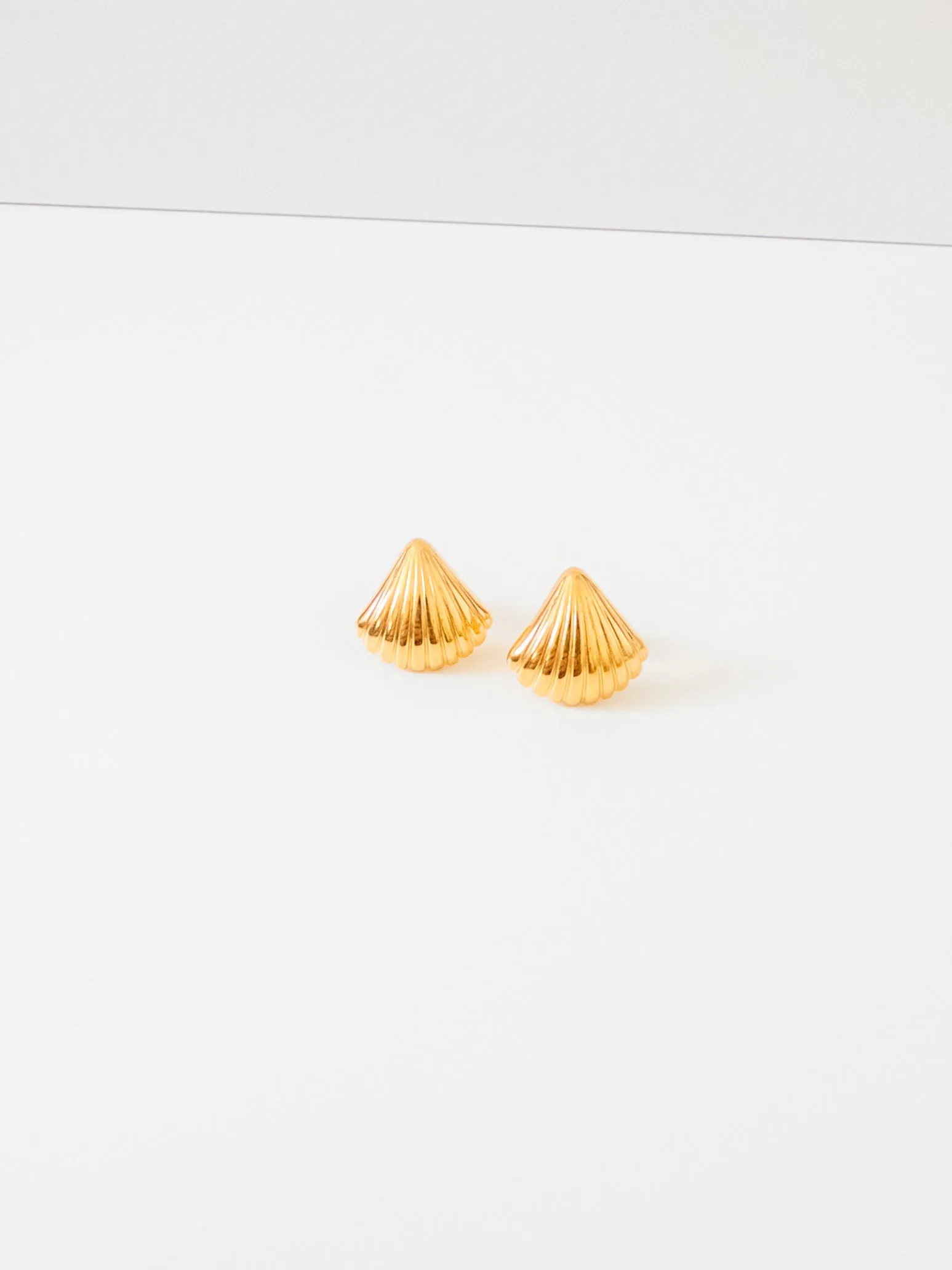 Medium shell earrings
